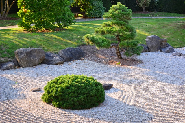 Un jardin japonais