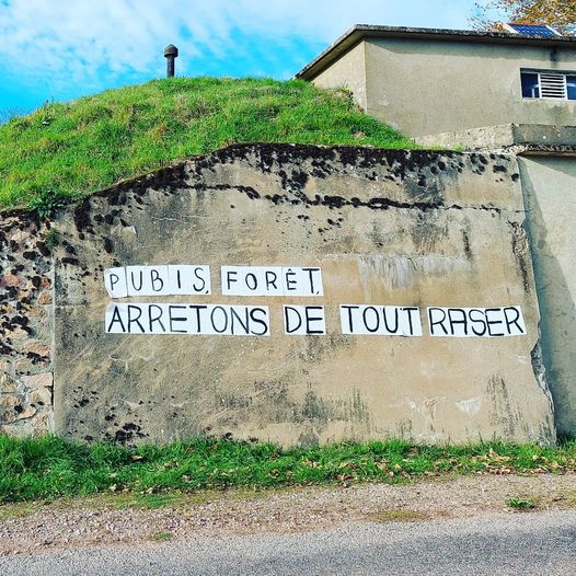 0000 Je vois que tout est toujours pretexte à montrer sa chatte sur internet !  Panneau Il est grand temps de respecter la nature ! C\\\' est vrai quoi !