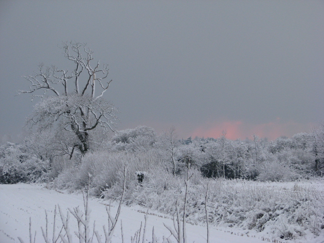 Lever de soleil normand sous la neige