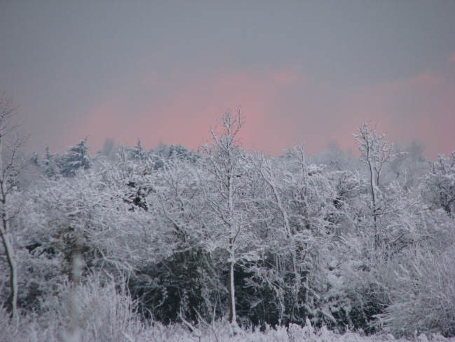 Lever de soleil normand sous la neige