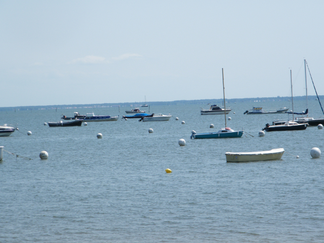 Andernos, plage, cabane huitres, fouilles près de l'église, fleurs