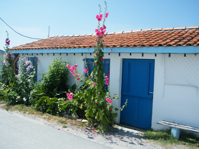 Andernos, plage, cabane huitres, fouilles près de l'église, fleurs