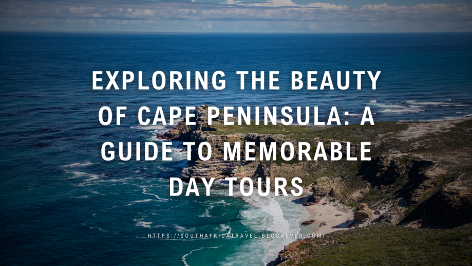 Exploring the Beauty of Cape Peninsula A Guide to Memorable Day Tours