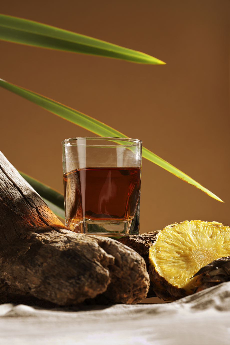boisson-de-sotol-avec-de-l-ananas-et-de-la-nature-morte