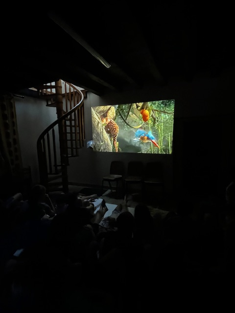 image5