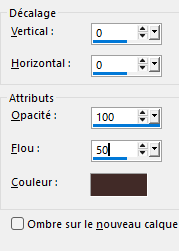 Capture 10 OP 0 0 100 50 couleur3