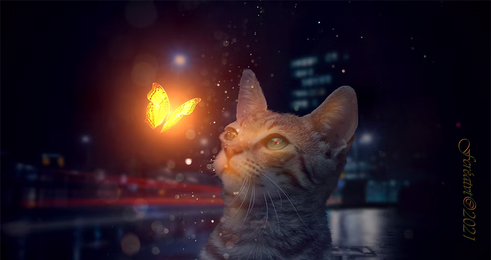 catfly