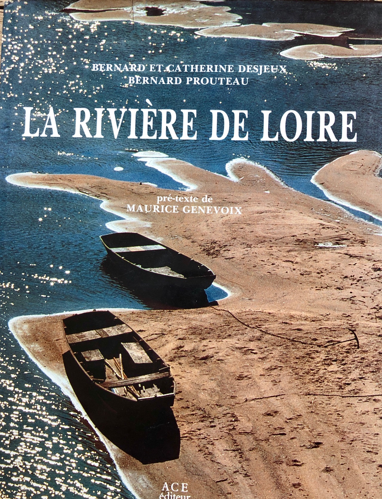 DESJEUX - La rivière de Loire IMG_0996