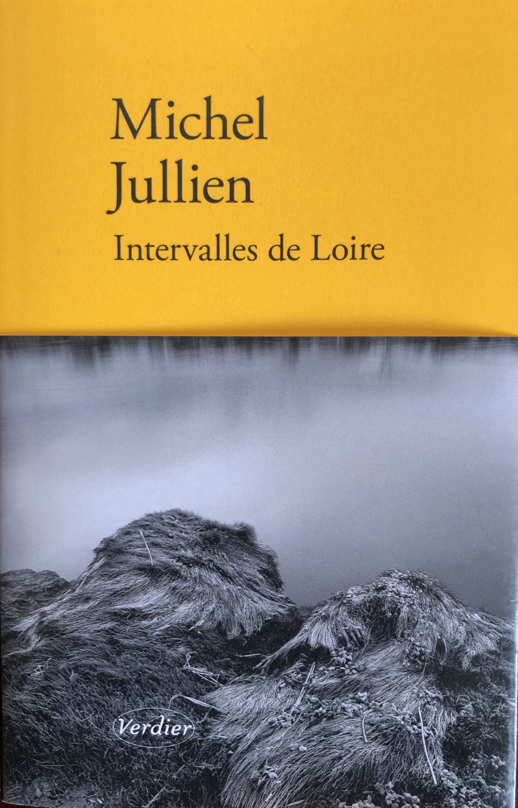 JULLIEN -intervalles de Loire  IMG_2893